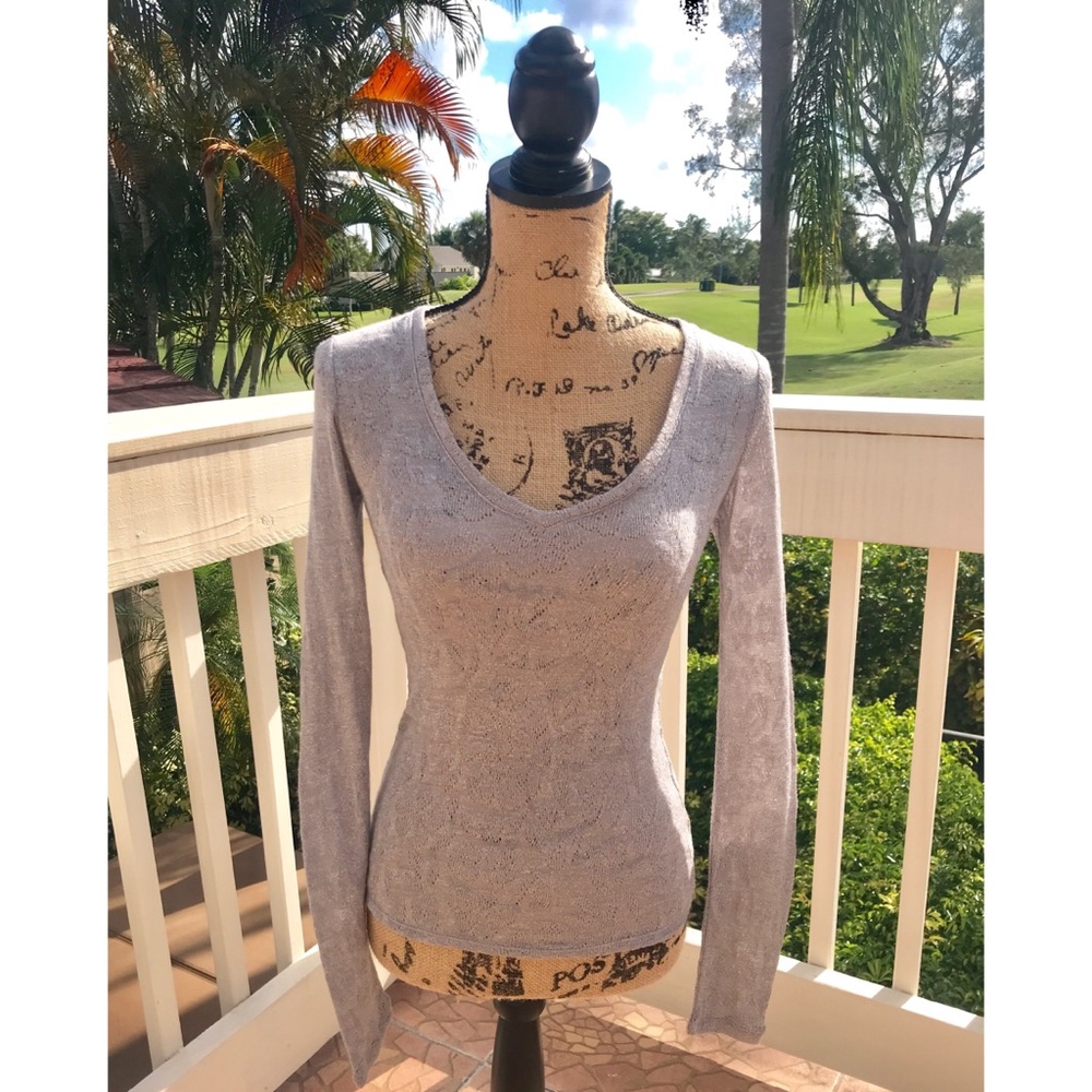 Express Sheer Long Sleeve V-Neck